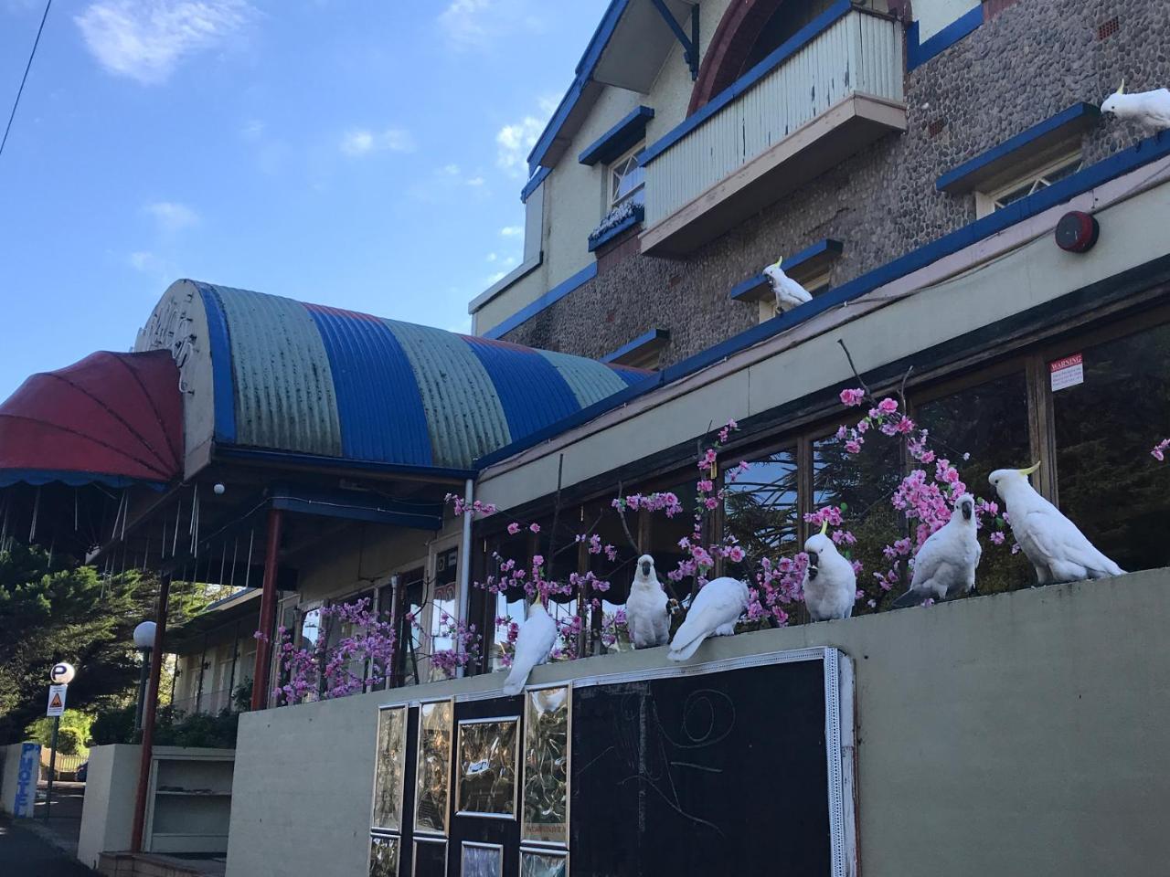 The Clarendon Motel Катумба Екстер'єр фото